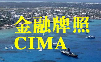 技术咨询 企业创新与发展的核心驱动力